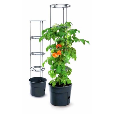 Doniczka Tomato Grower Antracyt IPOM300